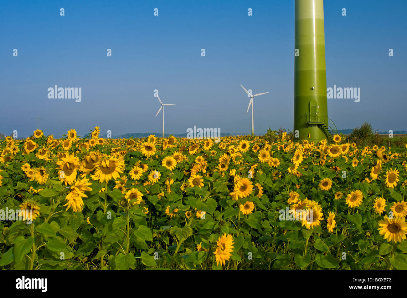 Fonti di energia rinnovabili Foto Stock