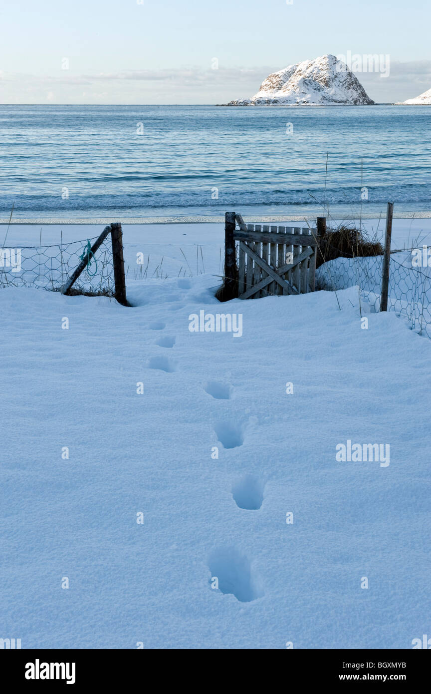 Footprints passando attraverso un cancello nella neve. Isole Lofoten, a nord della Norvegia Foto Stock