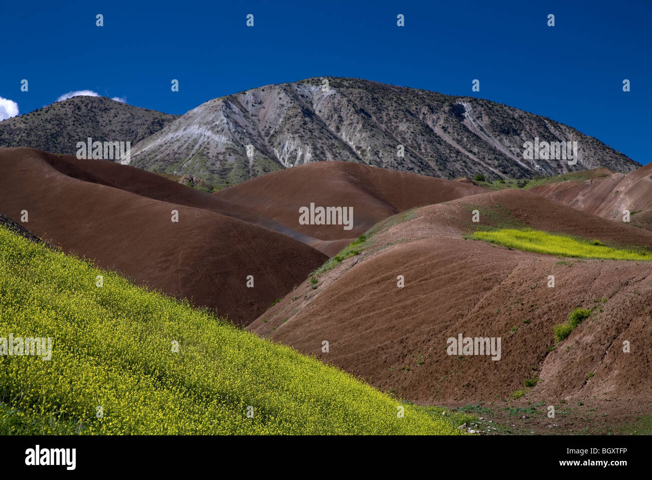 Vista panoramica del fiume Kelkit Valle Susehri in Turchia. Foto Stock