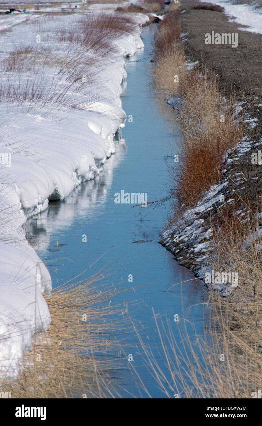 Il Fosso di Irrigazione con Snow Drift su un lato riflette il cielo, Nuovo Messico, STATI UNITI D'AMERICA Foto Stock