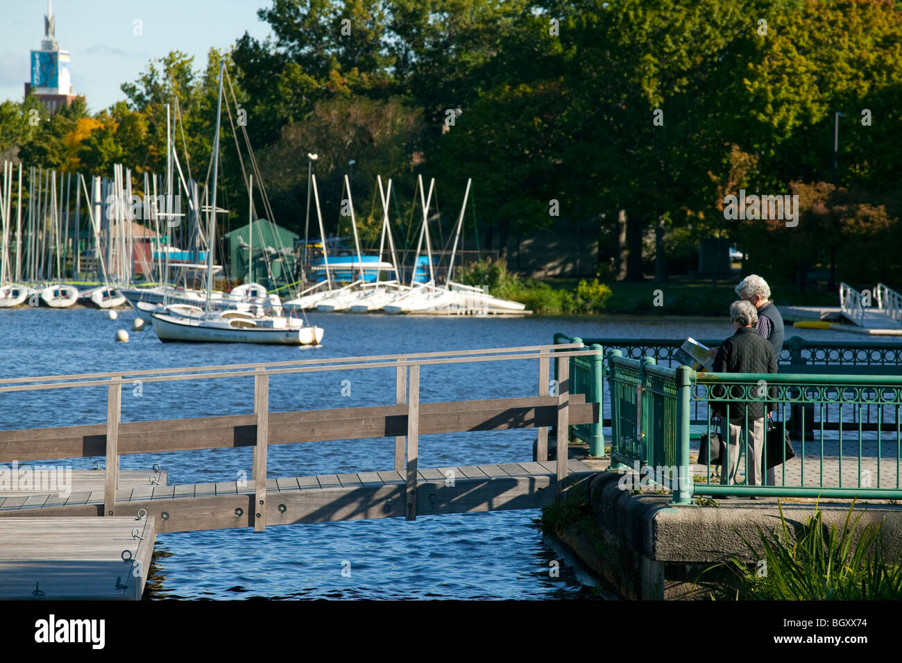 Visita giovane guardando la mappa, Charles River Esplanade, Boston, Massachusetts Foto Stock