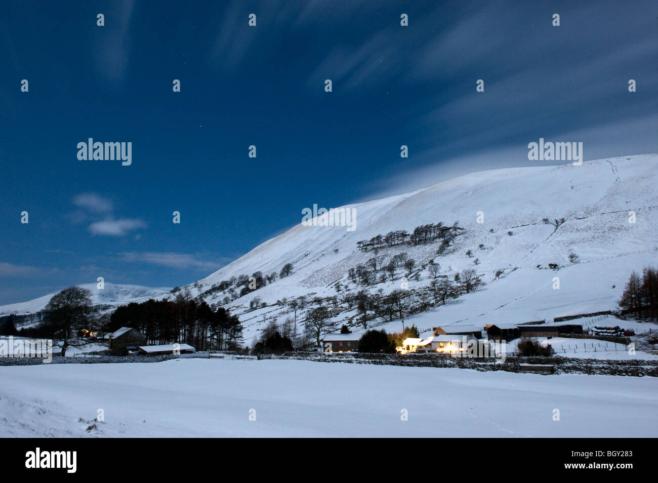 Moonlit coperta di neve campagna mezzanotte Anno Nuovo 2010 Foto Stock