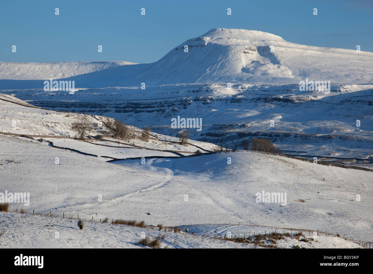 Ingleborough, Yorkshire Dales, England, Regno Unito Foto Stock