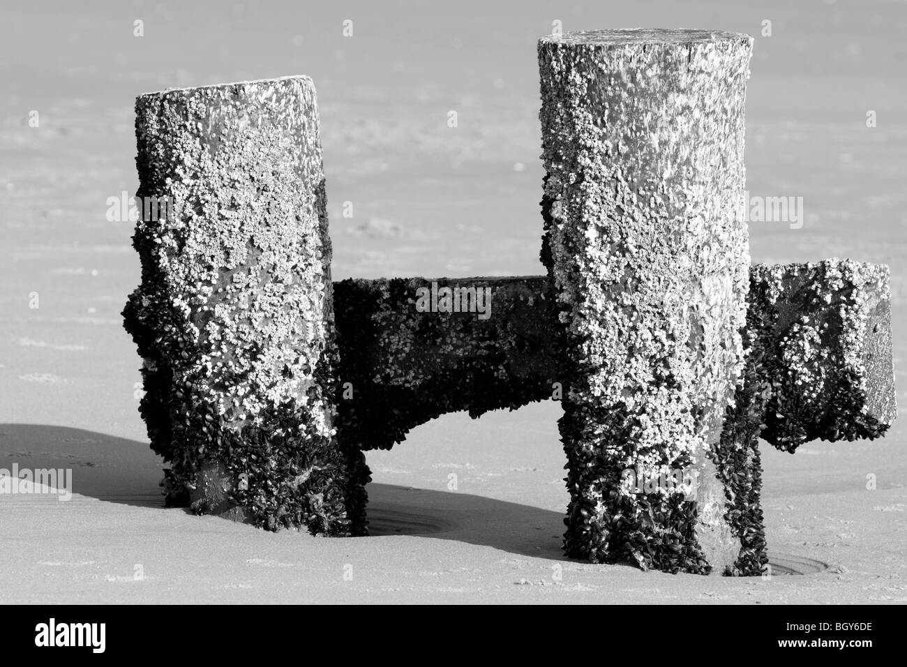 Pier sporgere della sabbia in spiaggia in bianco e nero Foto Stock