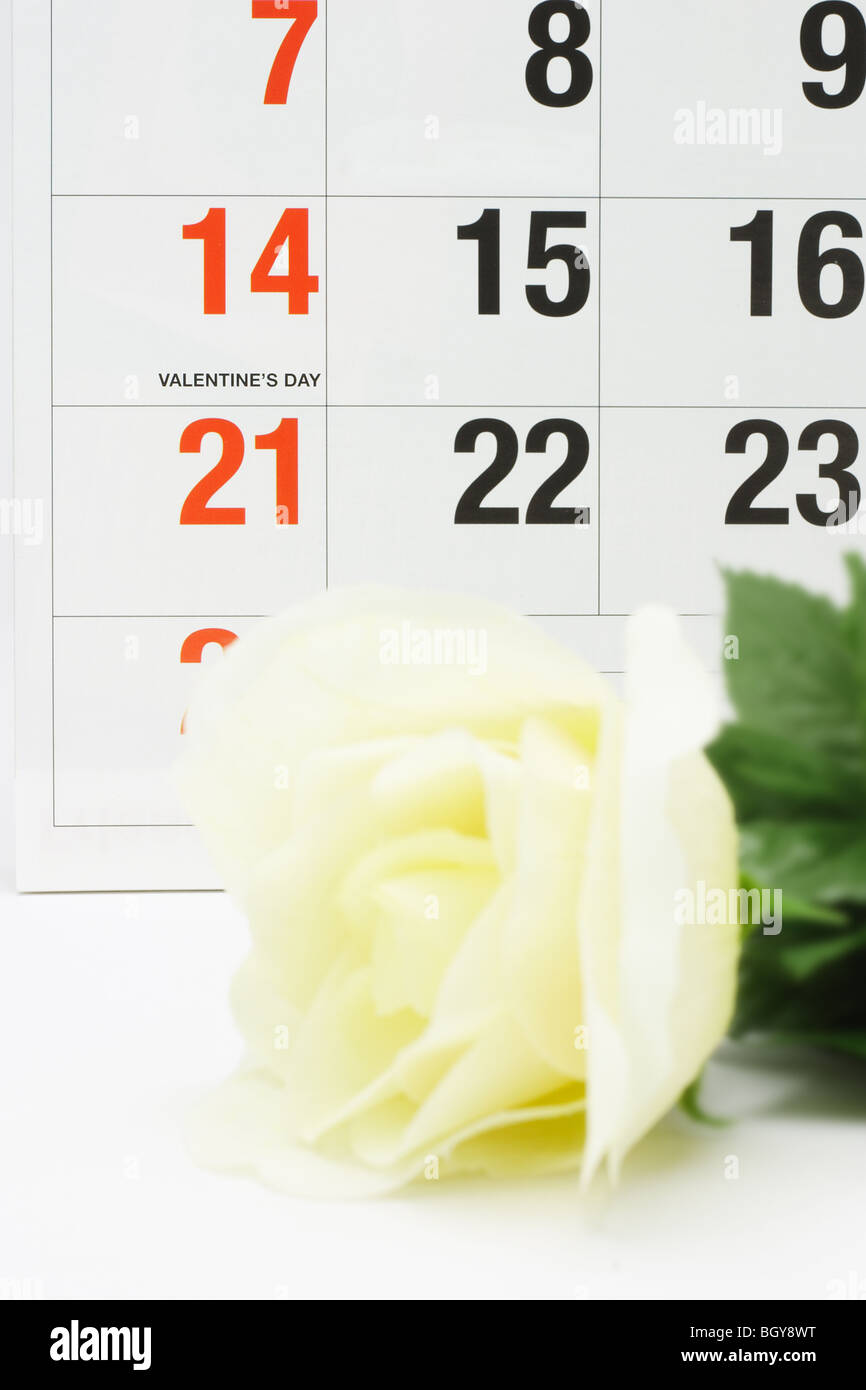 Rosa gialla accanto al calendario pagina che mostra il giorno di San Valentino Foto Stock