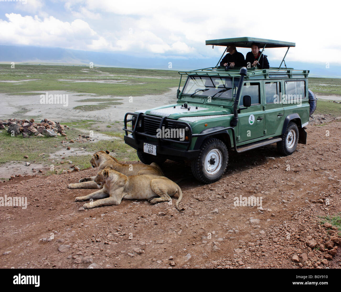 Due leoni rilassante su strada sterrata accanto a AUTO, Safarii Ngorogoro National Park, Tanzania Foto Stock