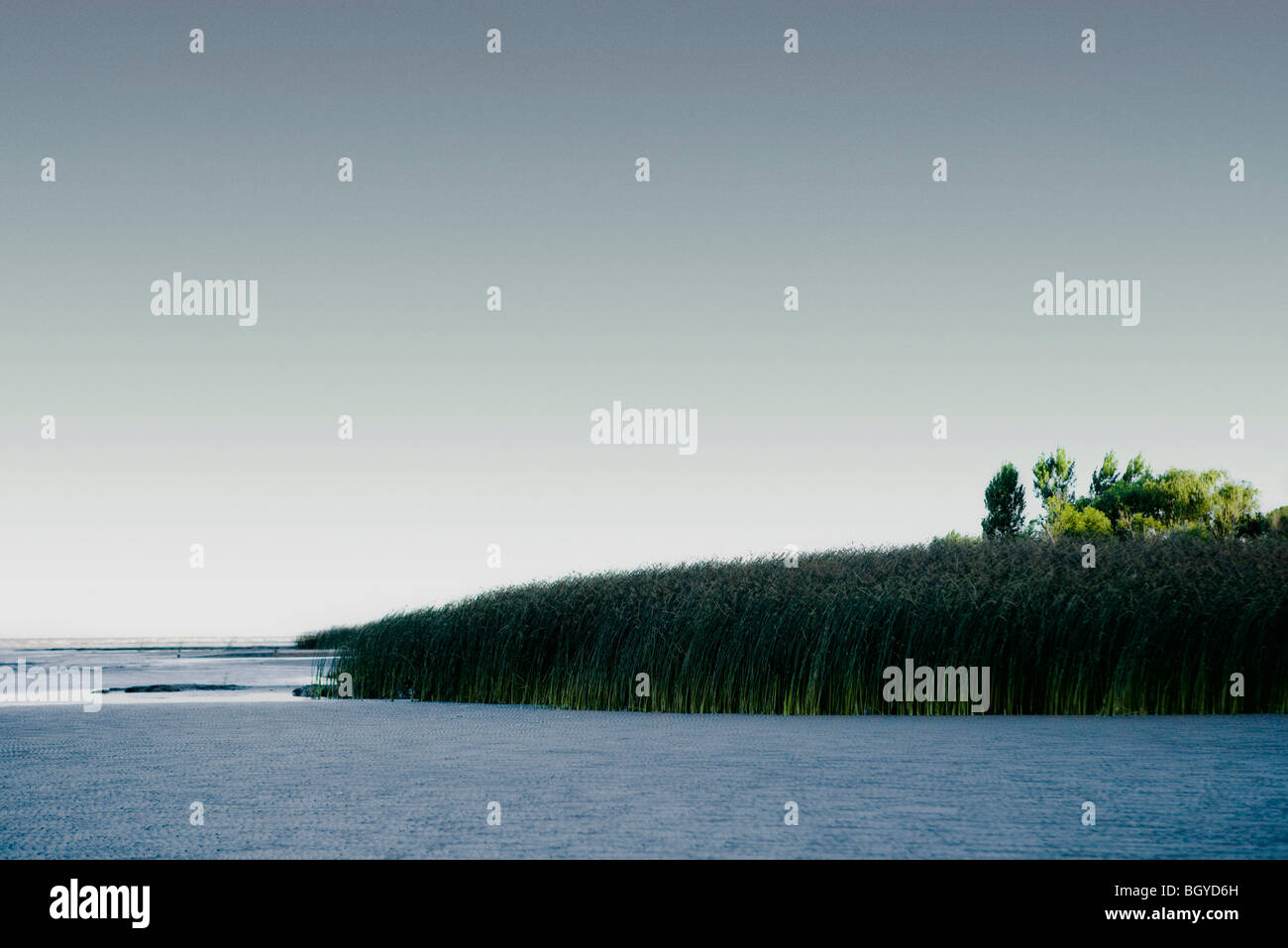 Il paesaggio costiero Foto Stock