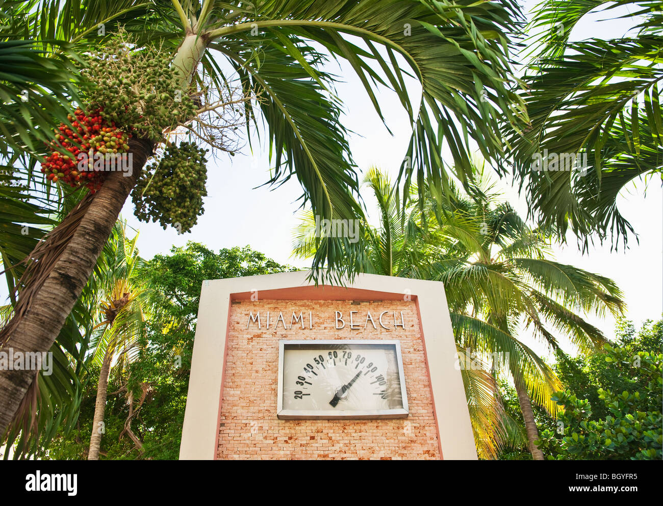 Palme e termometro Foto Stock
