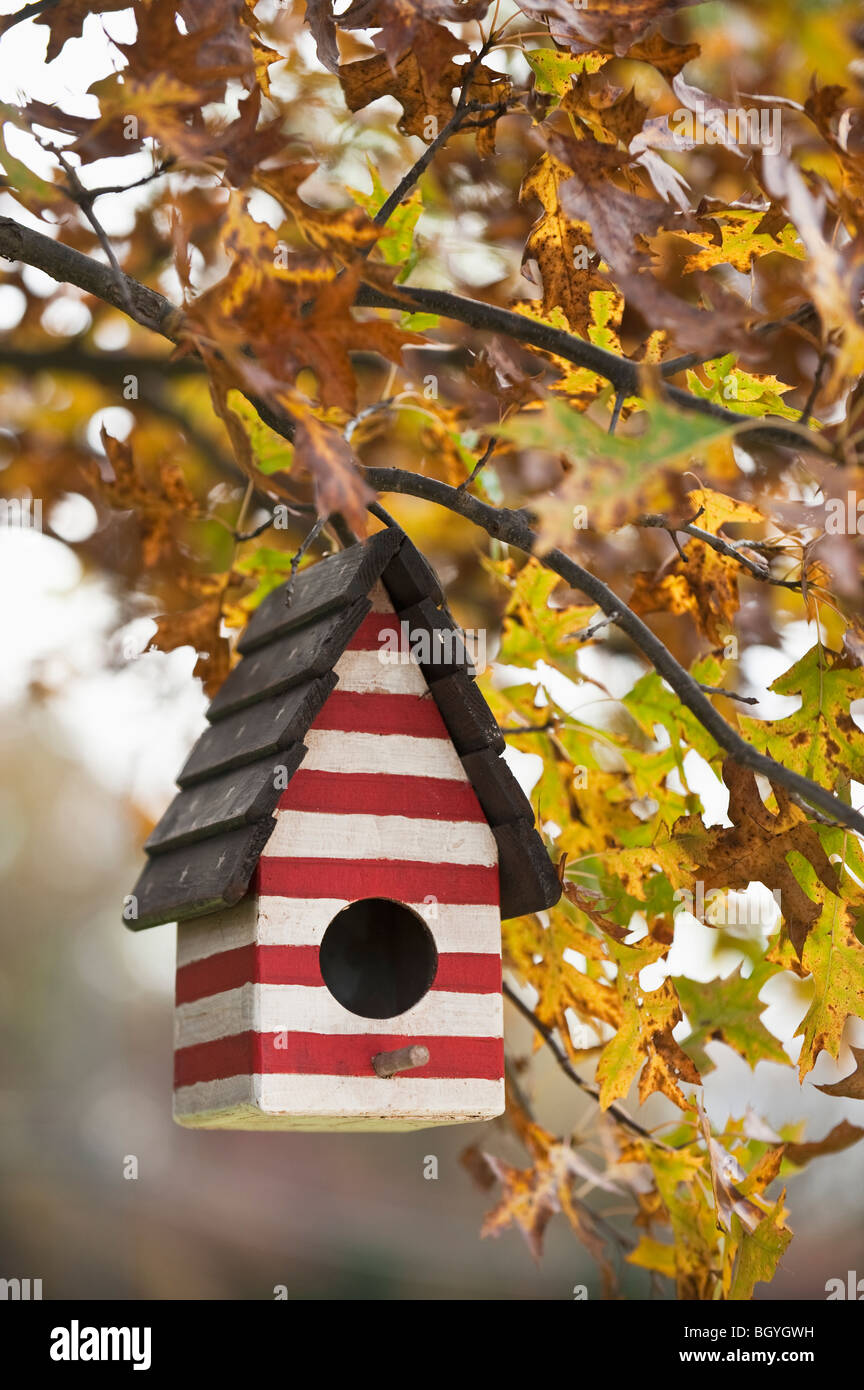 Arrotino manuale Foto Stock