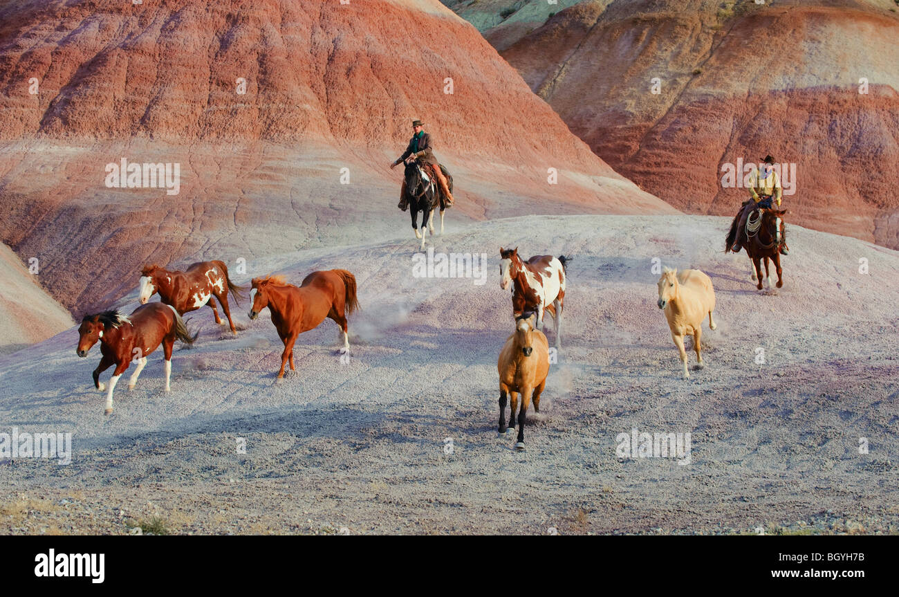 Cowboys Foto Stock