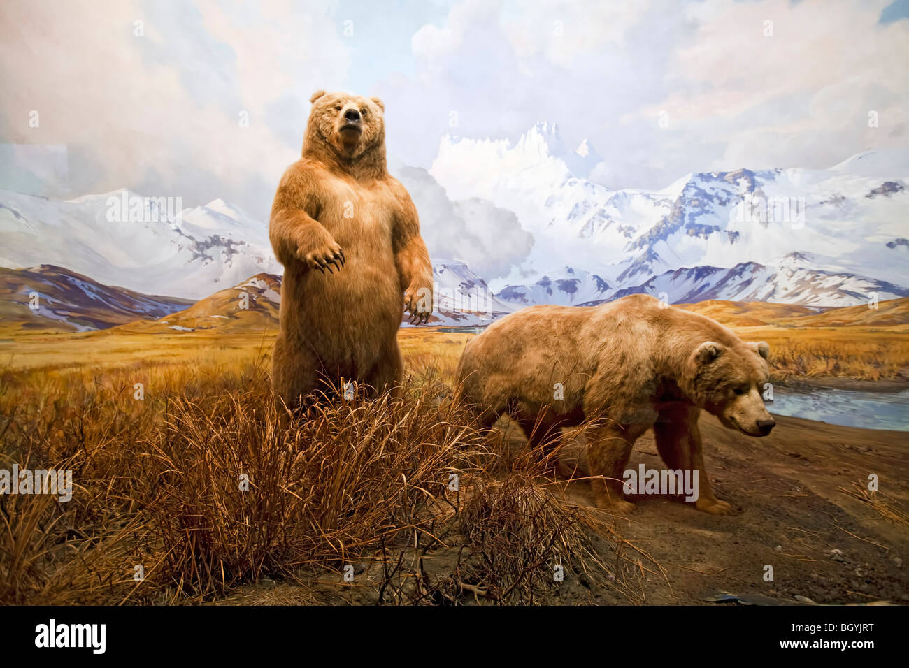 Il Museo Americano di Storia Naturale di New York Foto Stock