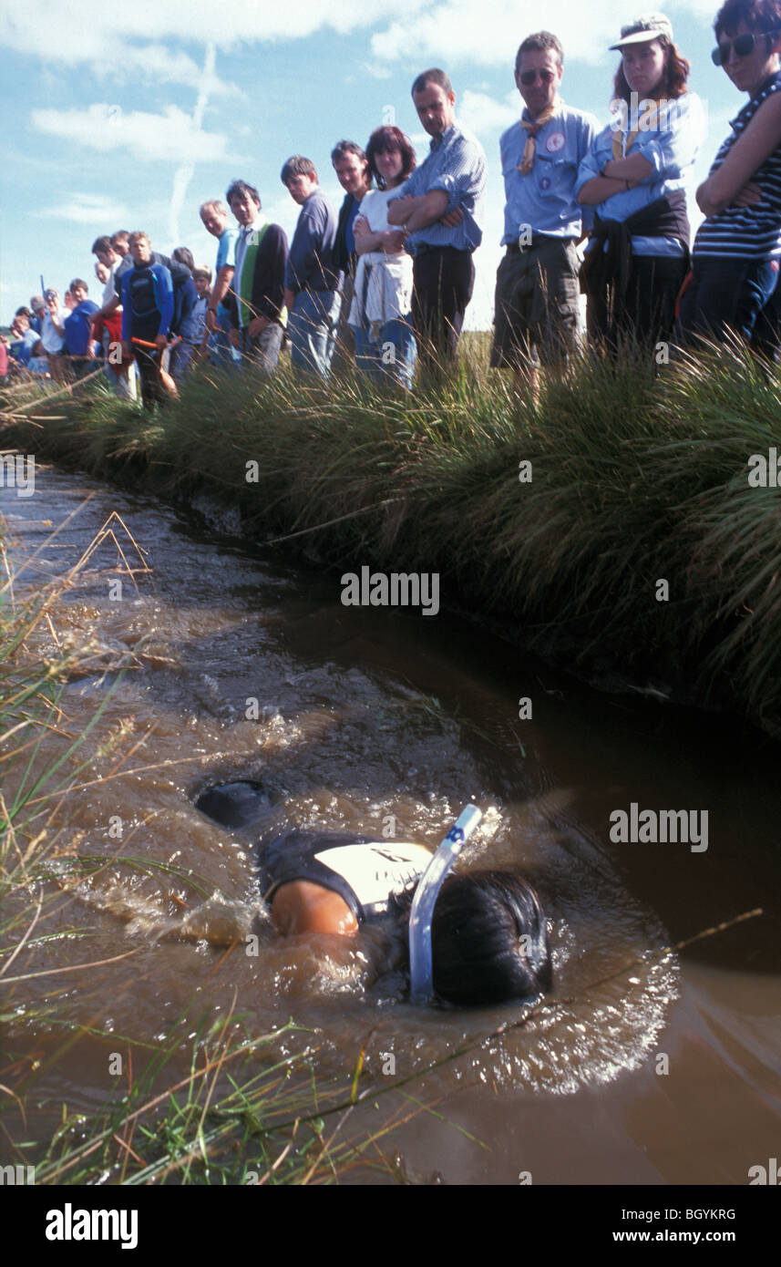 Mondo Bog Snorkelling campionati Llanwrtyd Wells Galles Gran Bretagna Foto Stock