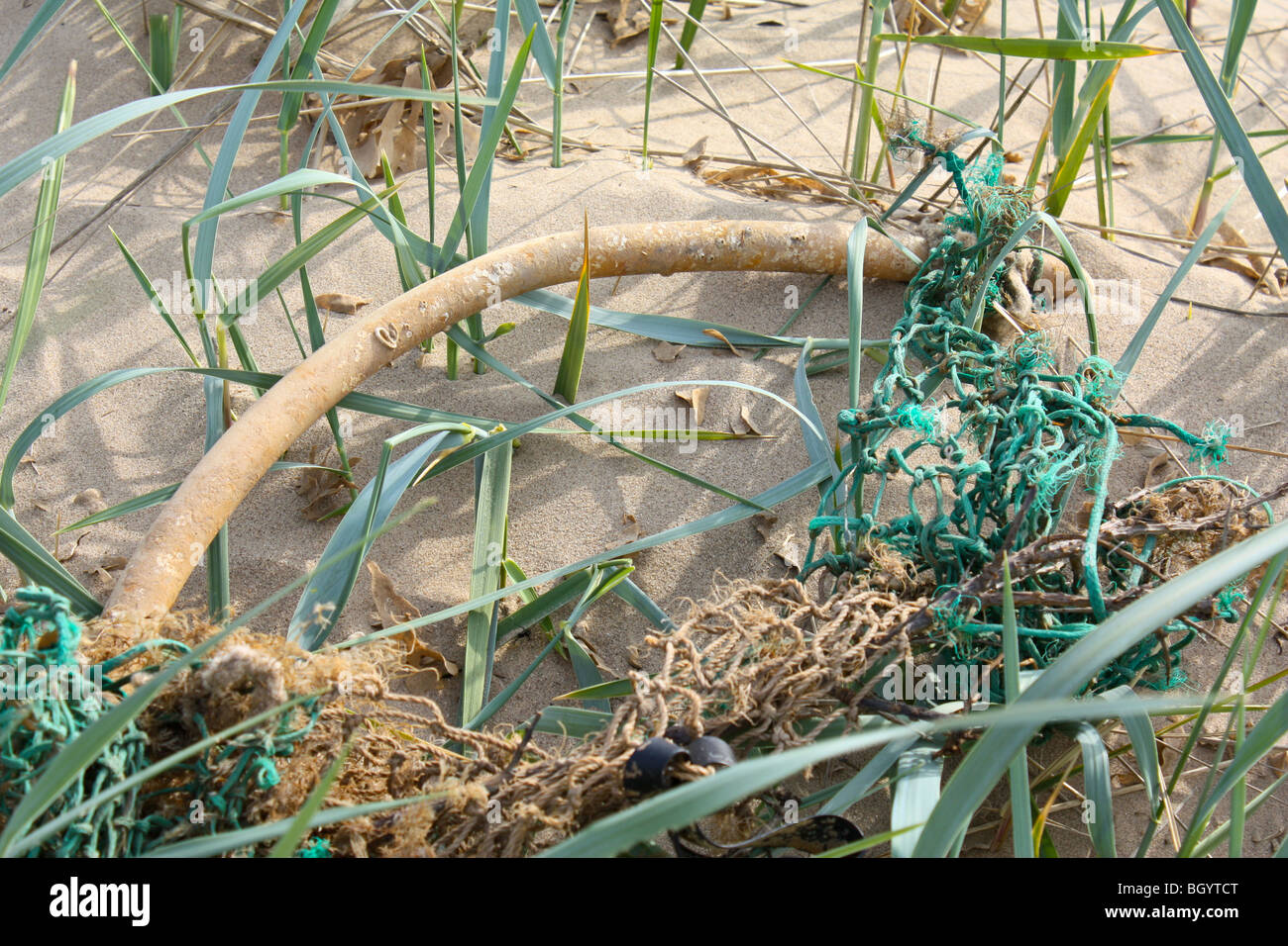 Rete da pesca, danneggiato, lavato fino sulla spiaggia, tangled in erba marram Foto Stock