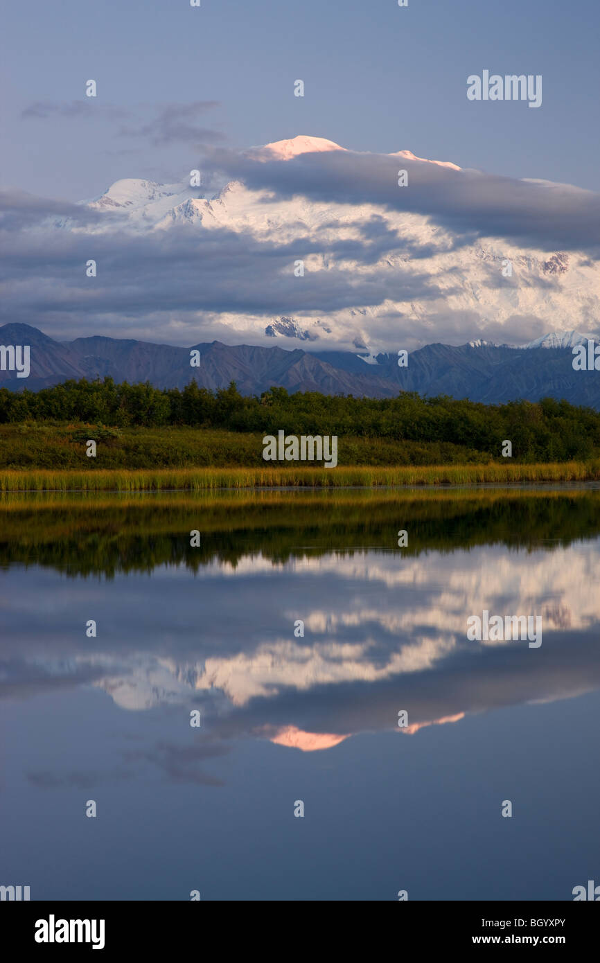 Mt. McKinley riflessione stagno, Parco Nazionale di Denali, Alaska. Foto Stock