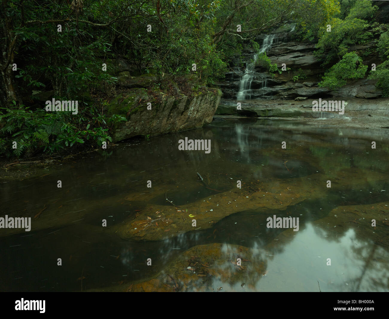 A tarda sera, Somersby cade Brisbane acqua Parco Nazionale, NSW Australia Foto Stock