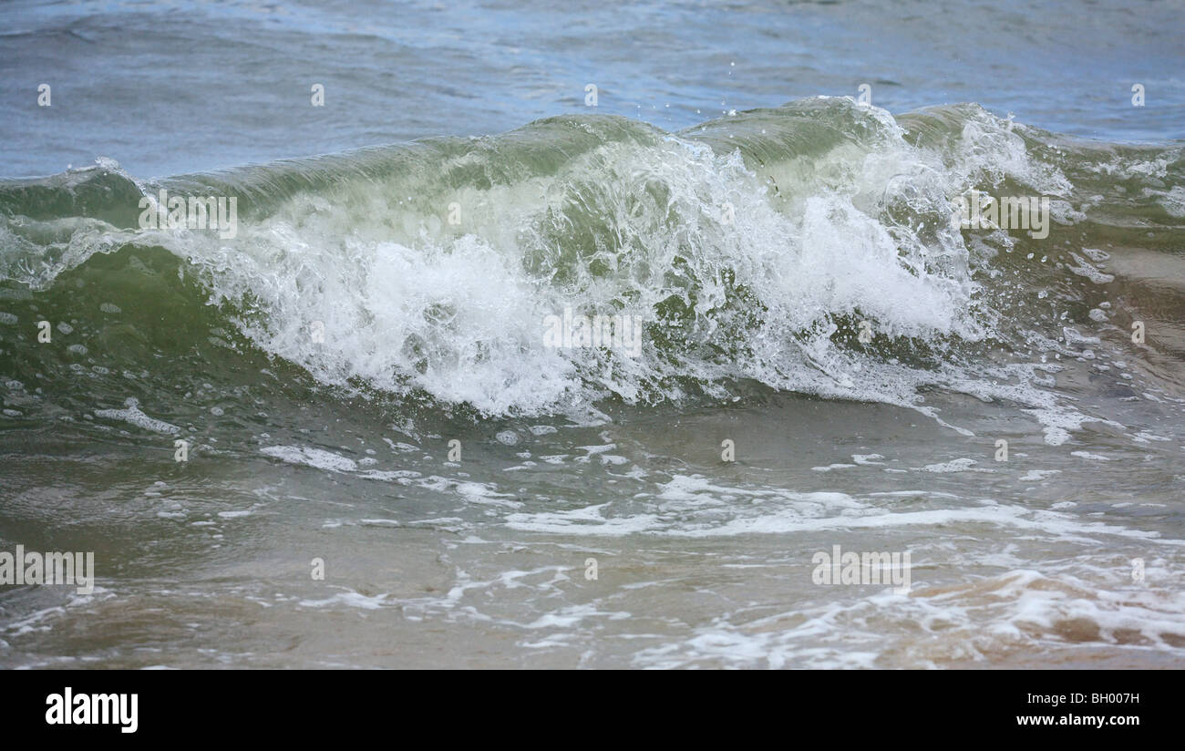 Surf Mar grande onda rottura sul litorale (natura sfondo) Foto Stock