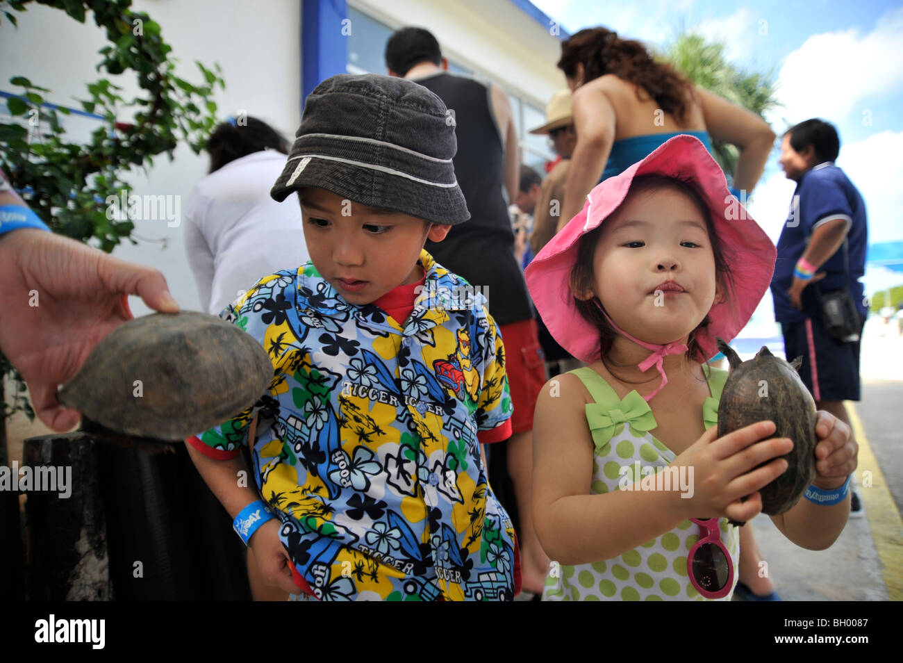 Due bambini verificando le tartarughe di mare in un Messico vita marina centro Foto Stock