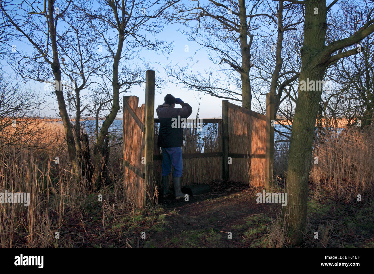 Osservazione degli uccelli che si affaccia su un ampio Hickling, Norfolk, Regno Unito, da una frangia di osservazione. Foto Stock