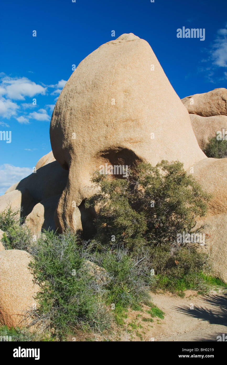 Cranio di una roccia di granito formazioni rocciose a Joshua Tree National Park, California Foto Stock