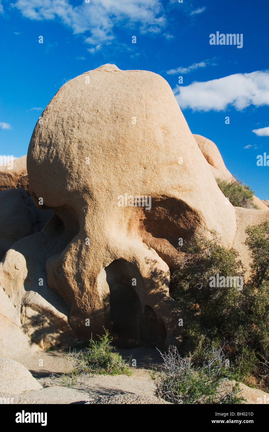 Cranio di una roccia di granito formazioni rocciose a Joshua Tree National Park, California Foto Stock