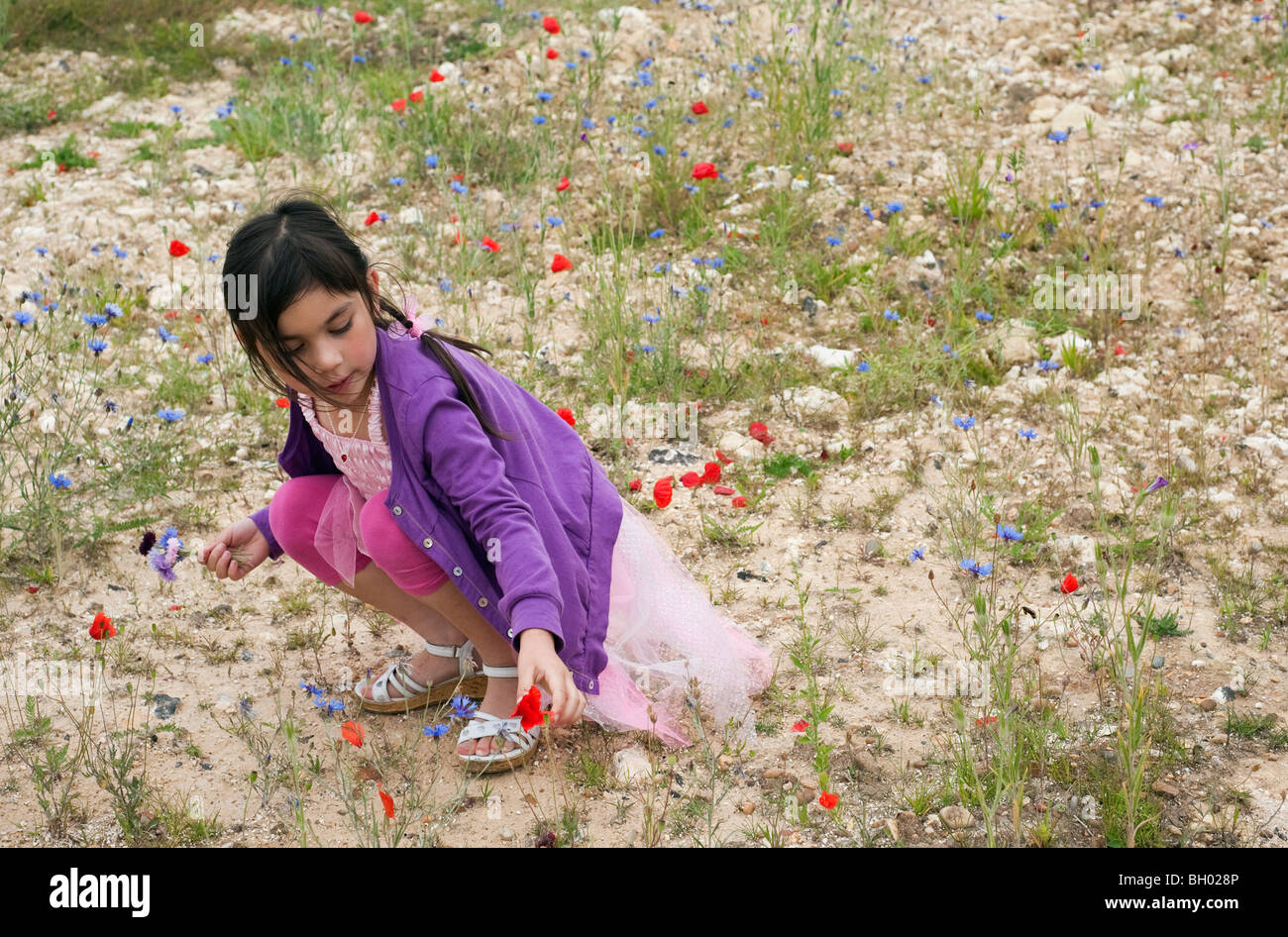 Ragazza giovane la raccolta di fiori di campo Foto Stock