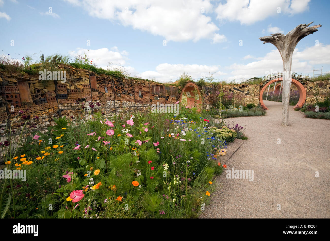 Teatro di insetti e percorso di fiori selvaggi Foto Stock