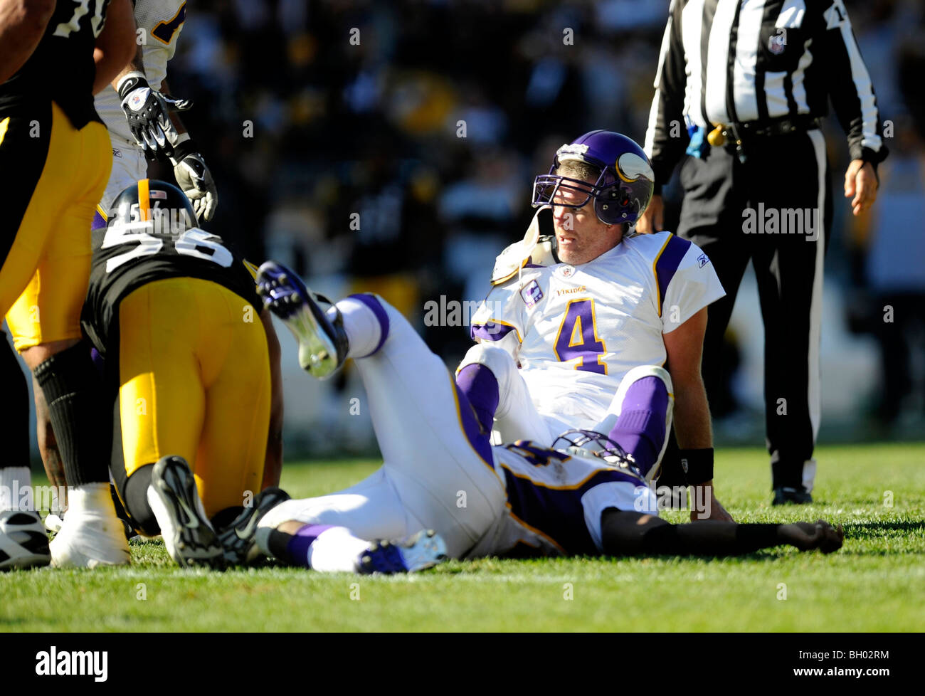 Brett Favre #4 del Minnesota Vikings guarda dalla terra dopo un passaggio in endzone Foto Stock