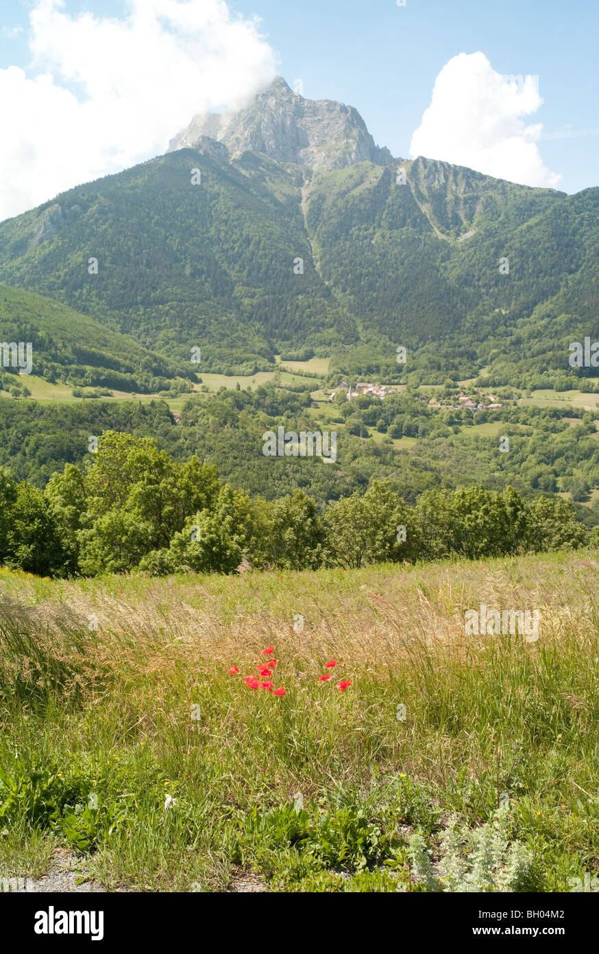 Alpi vicino a Grenoble, in Francia con il Poppies in estate Foto Stock