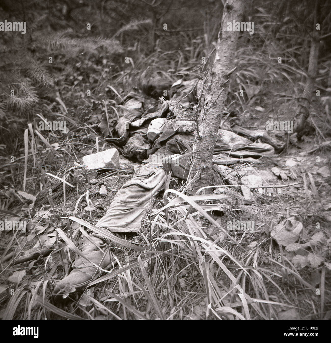 Il decomposti resti di un soldato durante la guerra di Corea si fondono nella vegetazione su una collina. Foto Stock
