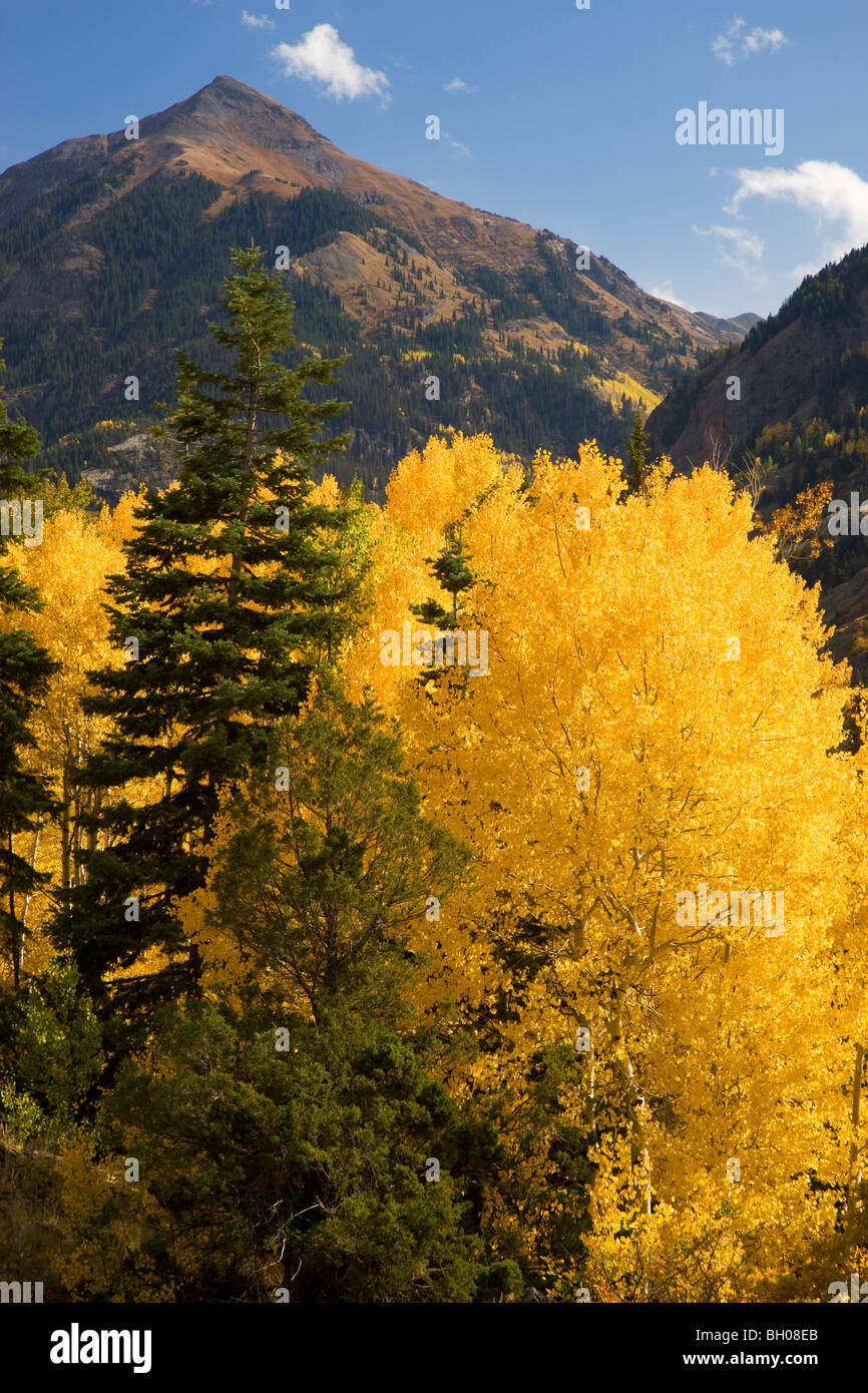 Colori autunnali in San Juan Mountains, nei pressi di Ouray, Colorado. Foto Stock
