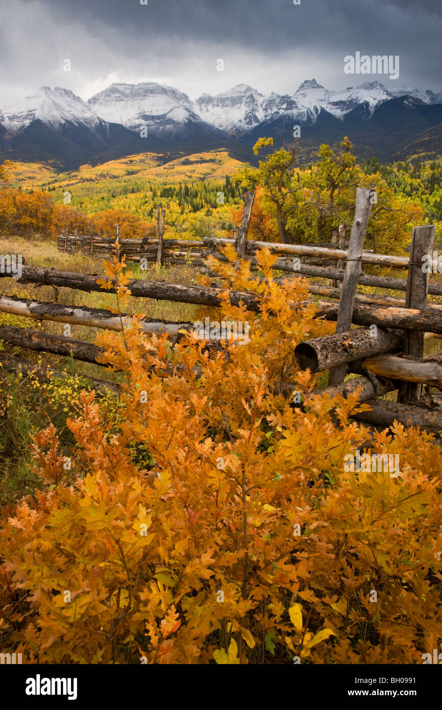 I colori autunnali e la gamma Sneffels, San Juan Mountains, Colorado. Foto Stock