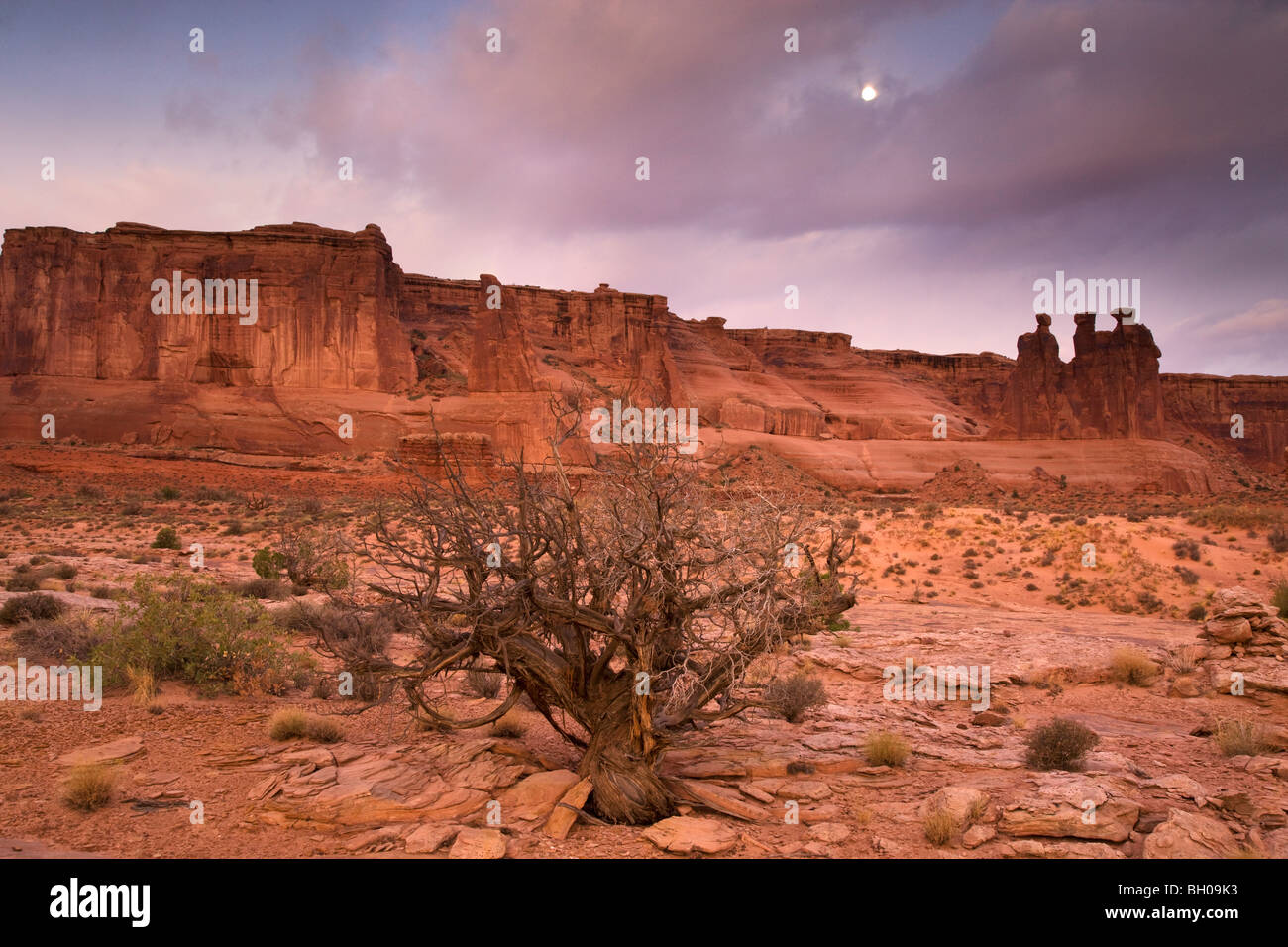 I tre pettegolezzi nella Courthouse Towers area, Arches National Park, Moab, Utah. Foto Stock