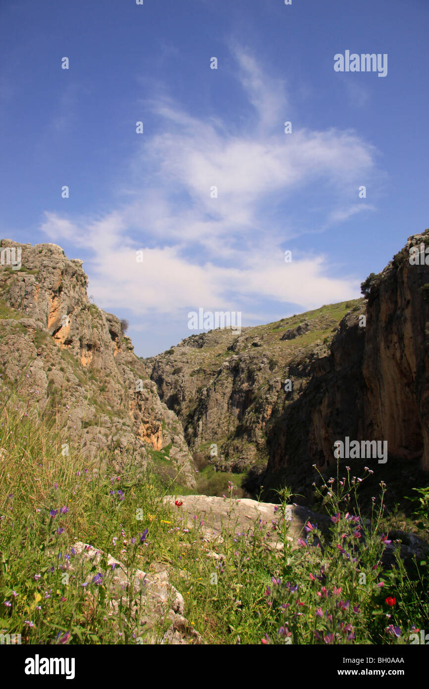 Israele, Wadi Amud in Bassa Galilea Foto Stock