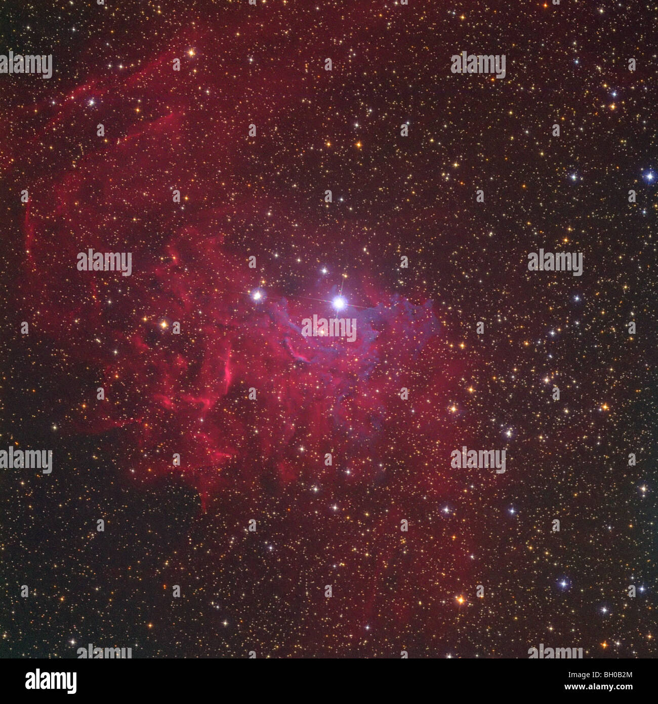 IC 405 in Auriga, la Stella fiammeggiante Nebula, fotografata utilizzando una fotocamera CCD su un 200 mm telescopio riflettore. Foto Stock