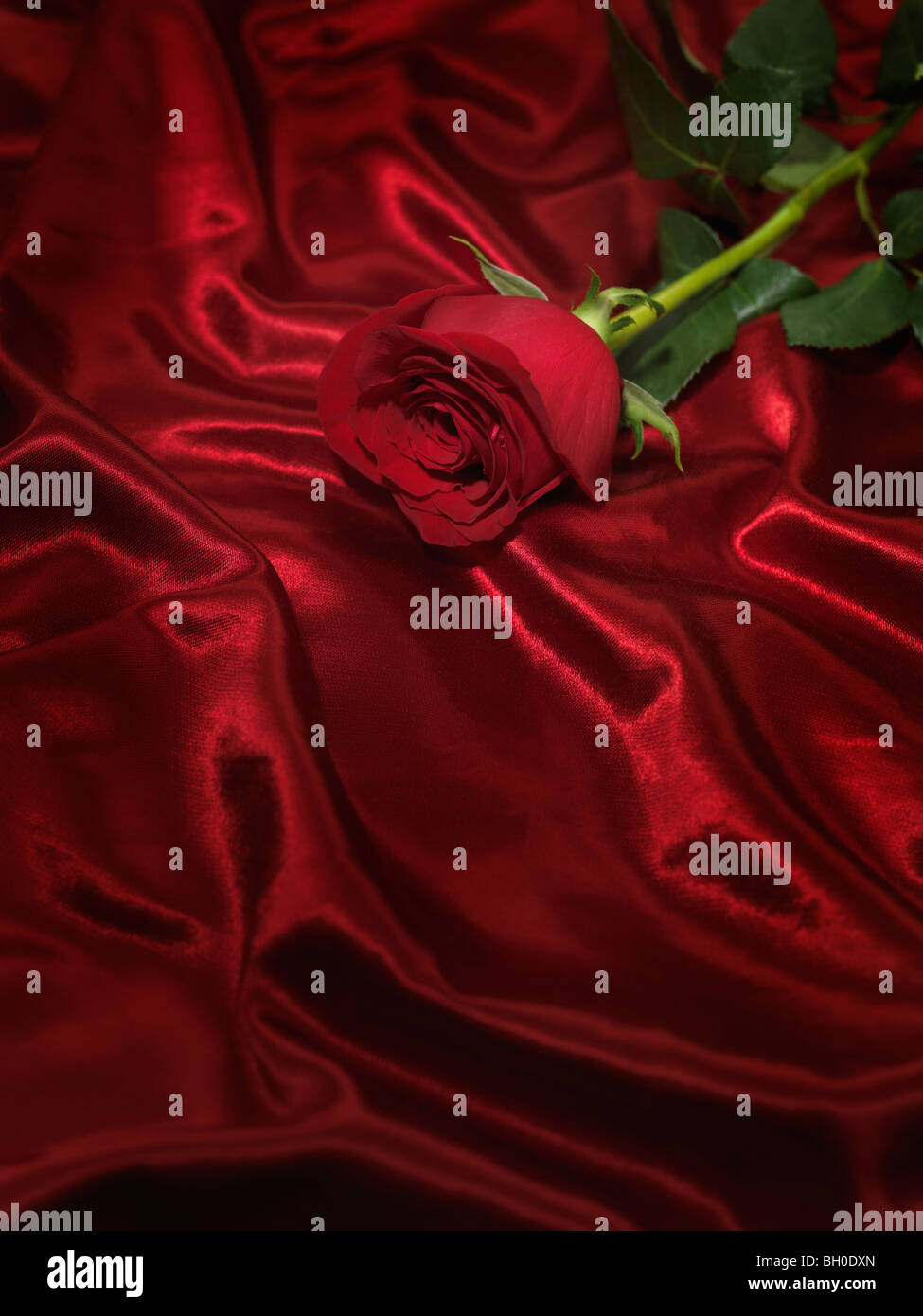 Single red rose su lucido tessuto setoso sfondo Foto Stock