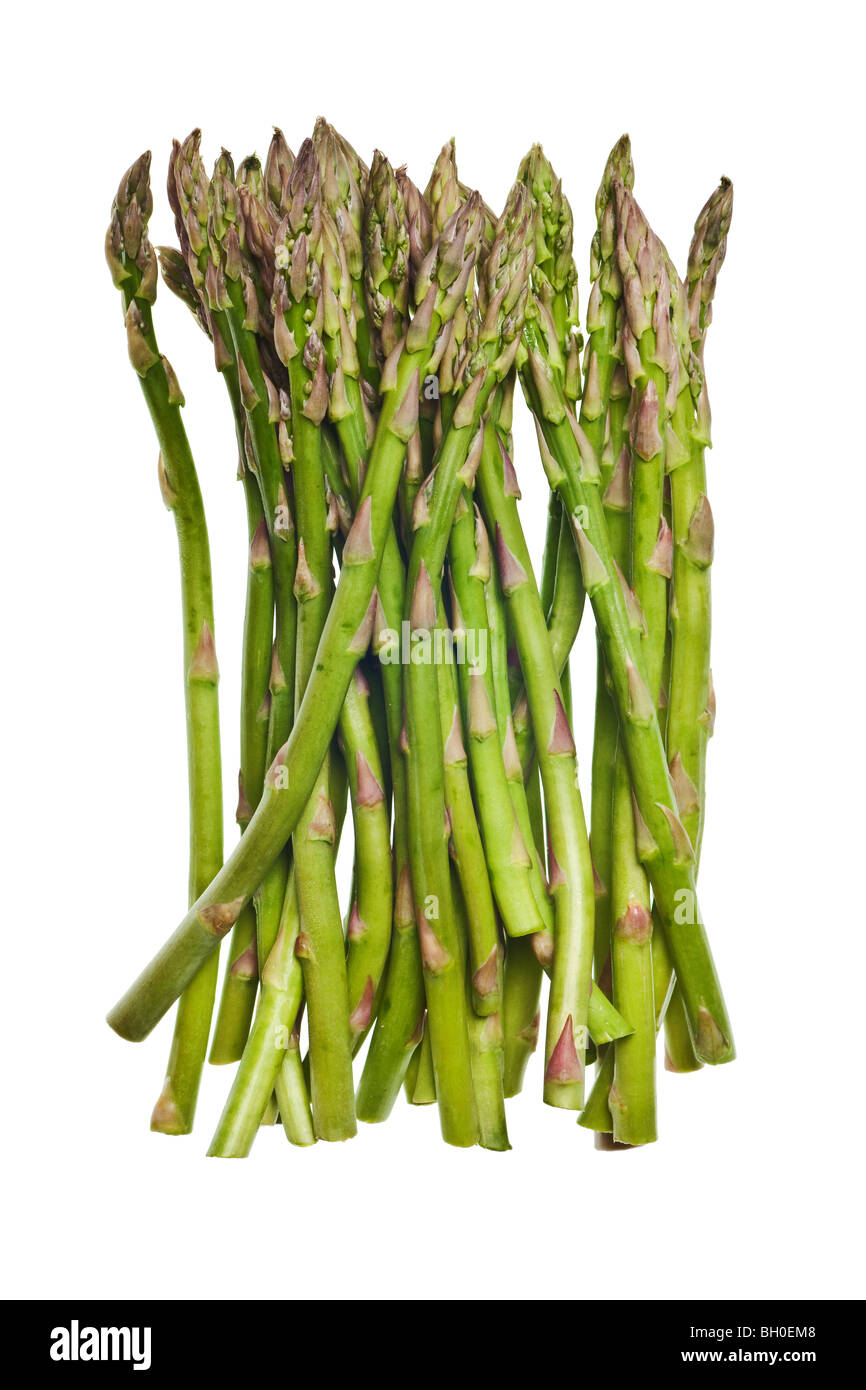 Gli asparagi isolato su un puro sfondo bianco Foto Stock