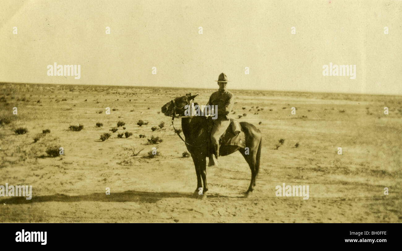 Seduta su un cavallo con il deserto in background. Stati Uniti Cavalleggeri lungo il confine messicano Foto Stock