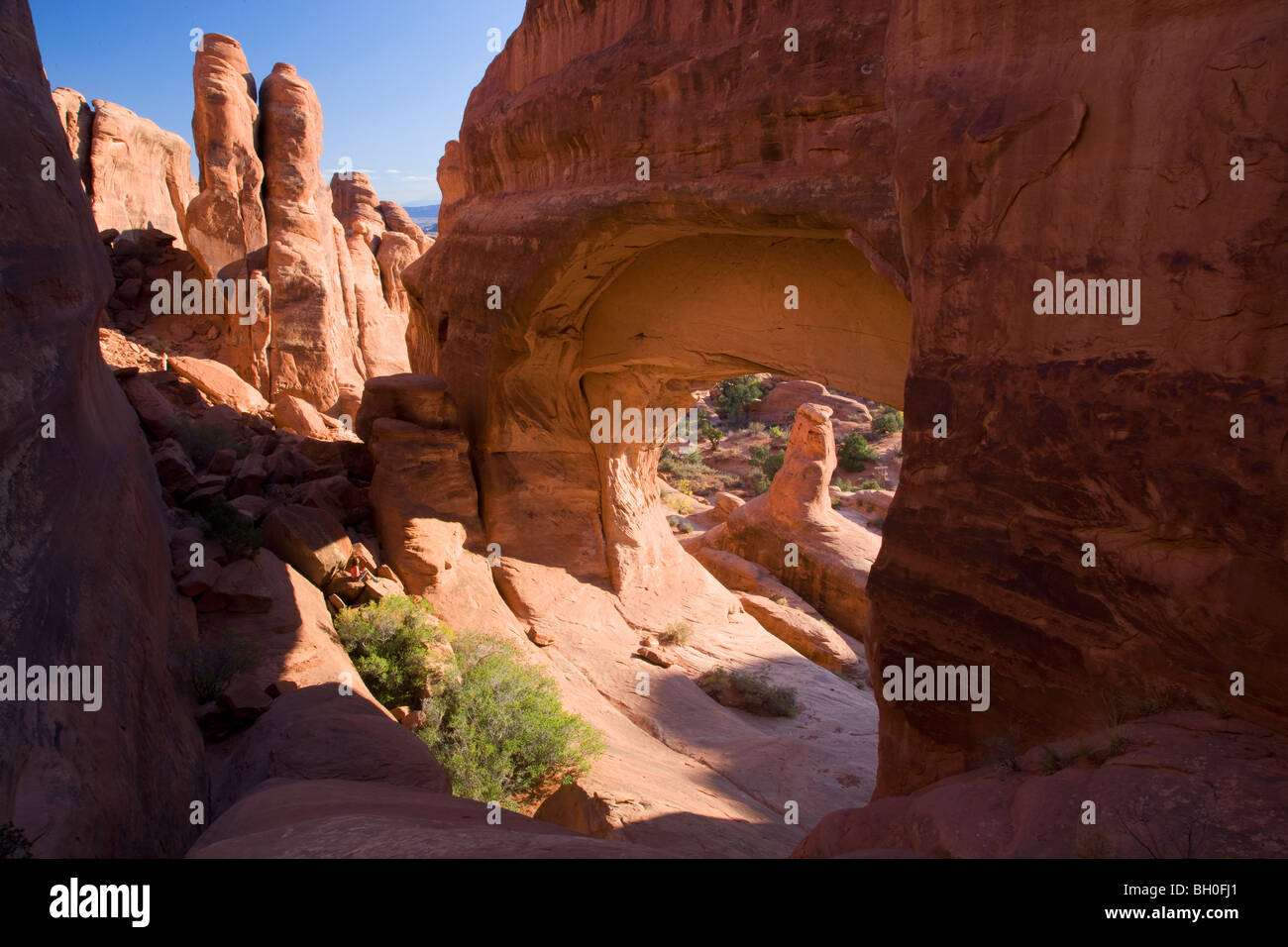 Tower Arch, Klondike Bluffs area, Arches National Park, vicino a Moab, Utah. Foto Stock