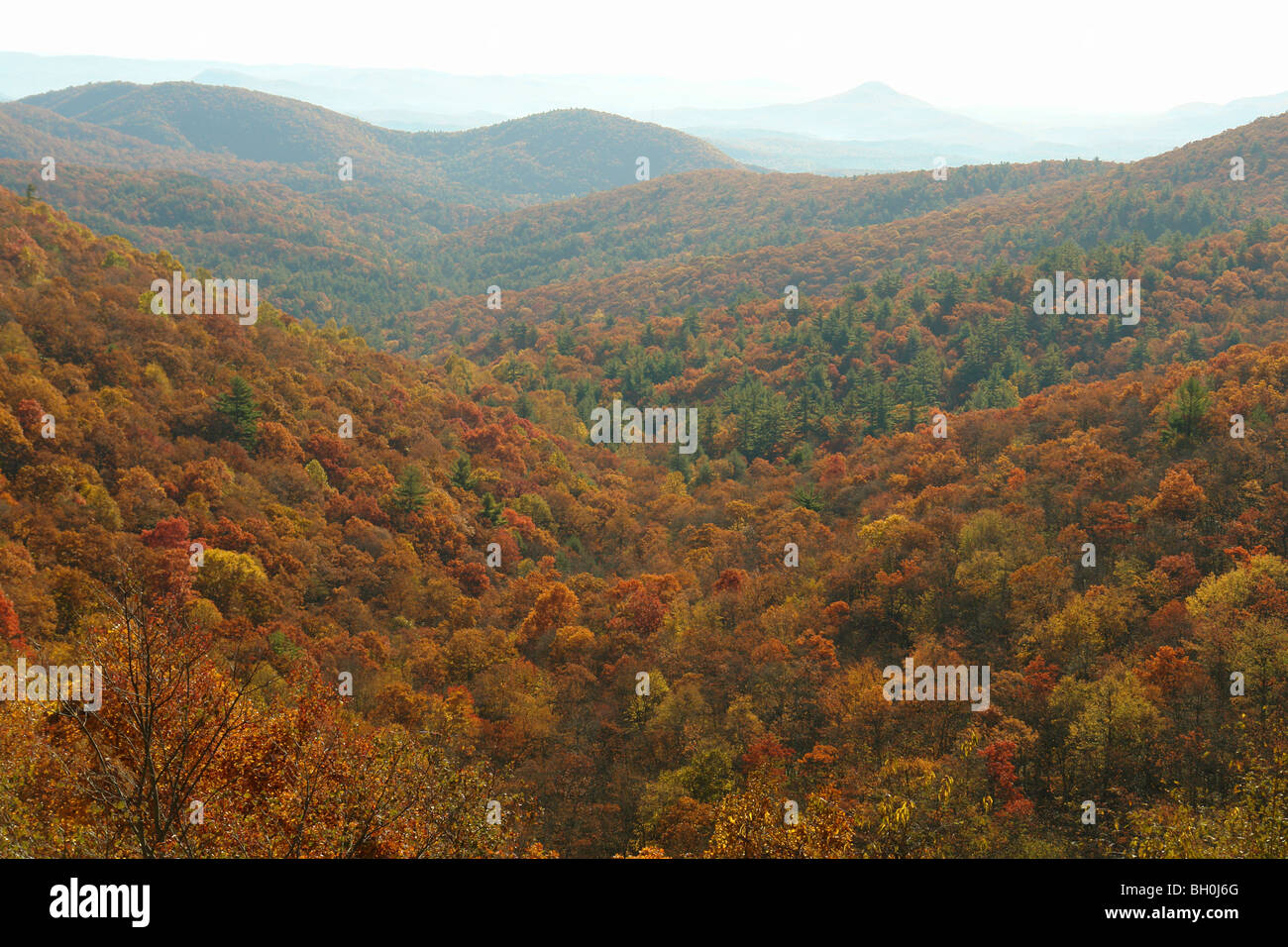 Neals Gap, GA, Georgia, Chattahoochee National Forest, autunno Foto Stock