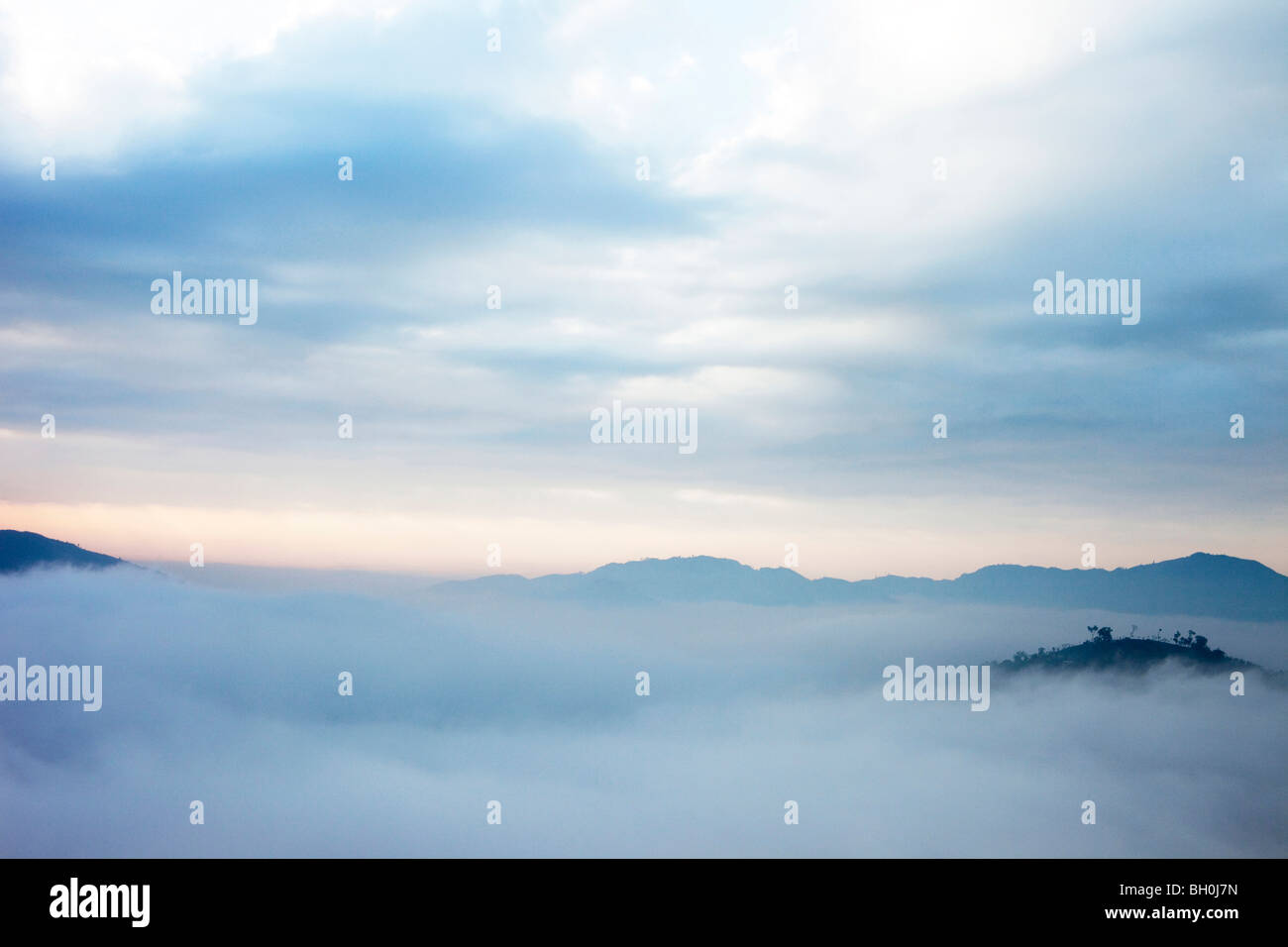 Cime di montagna in alta nebbia a sunrise, Rueili, Alishan, Taiwan, Asia Foto Stock