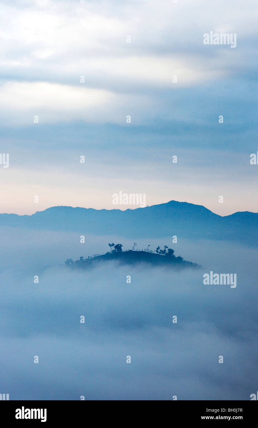 Cime di montagna in alta nebbia a sunrise, Rueili, Alishan, Taiwan, Asia Foto Stock