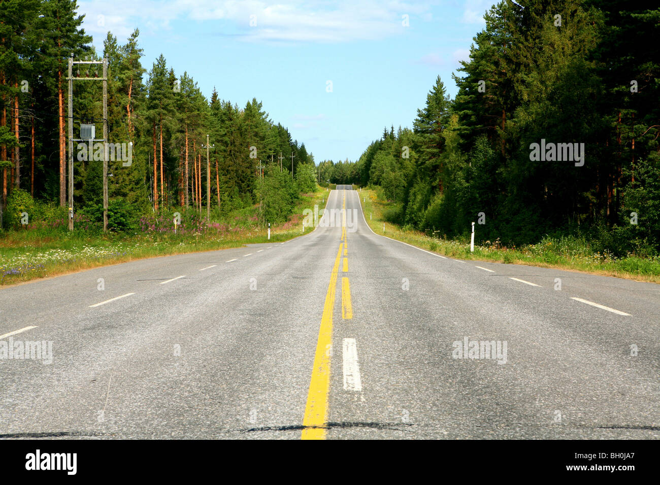 Svuotare country road tra le foreste di conifere, Saimaa Lake District, Finlandia, Europa Foto Stock