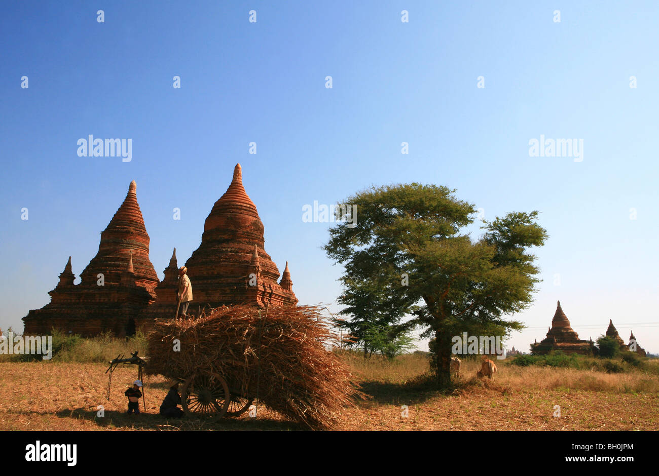 Famiglia contadina davanti a un tempio sotto il cielo blu, Bagan, MYANMAR Birmania, Asia Foto Stock