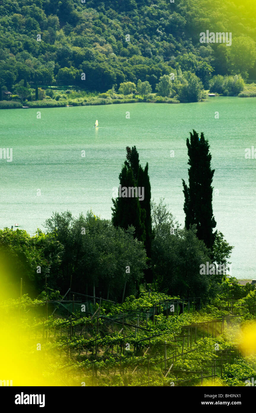 Vigneti e paesaggio di montagna, la Strada del Vino in Alto Adige, Ueberetsch, Alto Adige, Italia Foto Stock