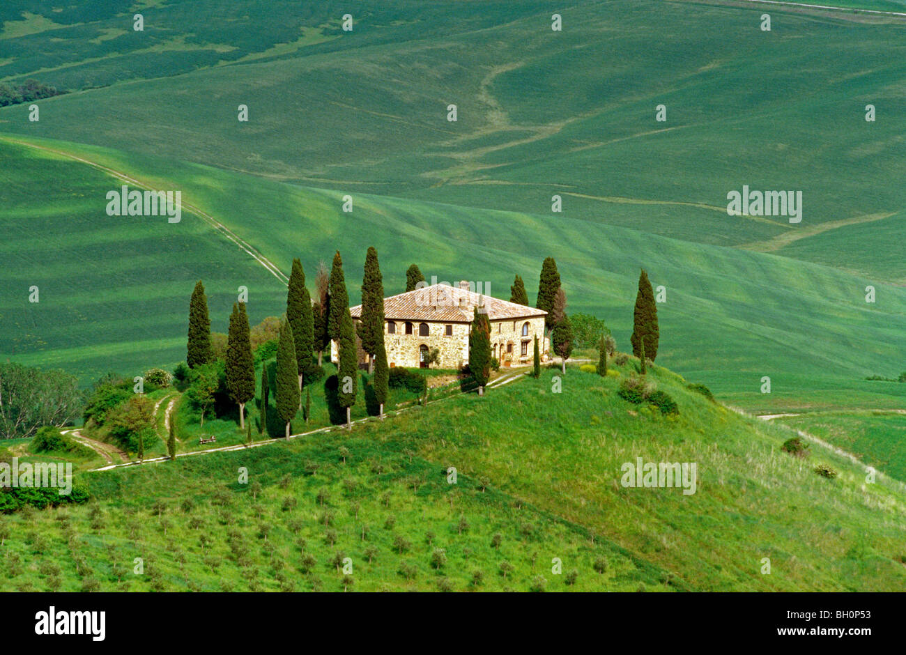 Vista in casa di campagna con cipressi su di un colle val d'Orcia, Toscana,  Italia, Europa Foto stock - Alamy