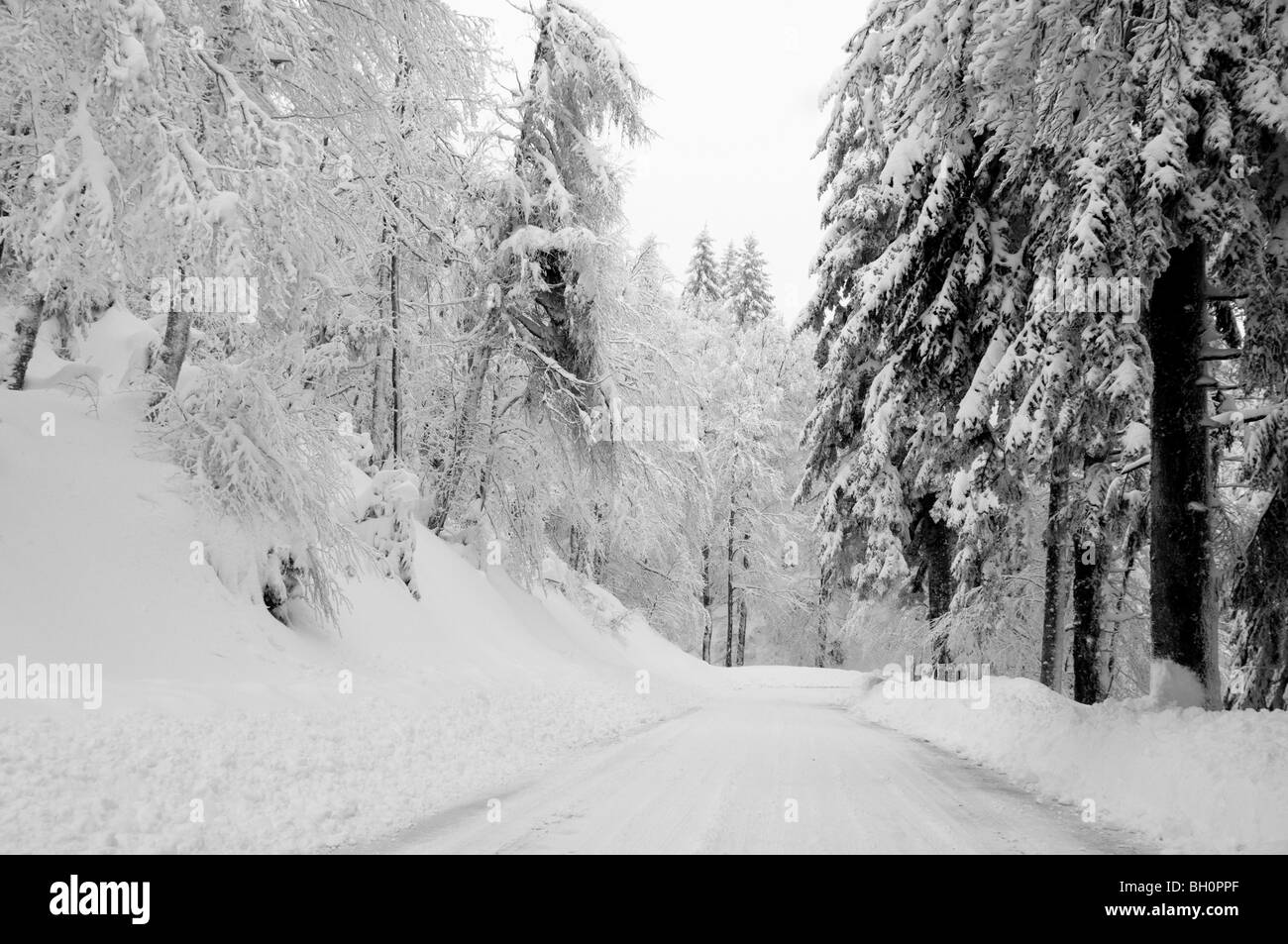 Strada in Cevennes montagne coperte di neve, tra le Vigan e Mont Aigoual, Gard, Francia meridionale Foto Stock