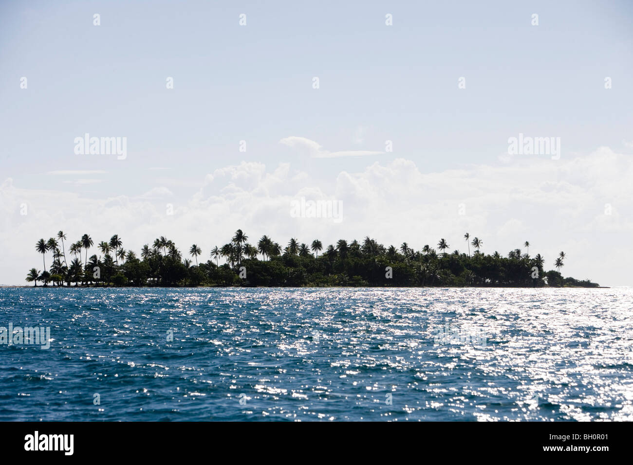 Isola Motu con palme a Raiatea Laguna, Raiatea, Isole della Società, Polinesia francese, South Pacific Oceania Foto Stock