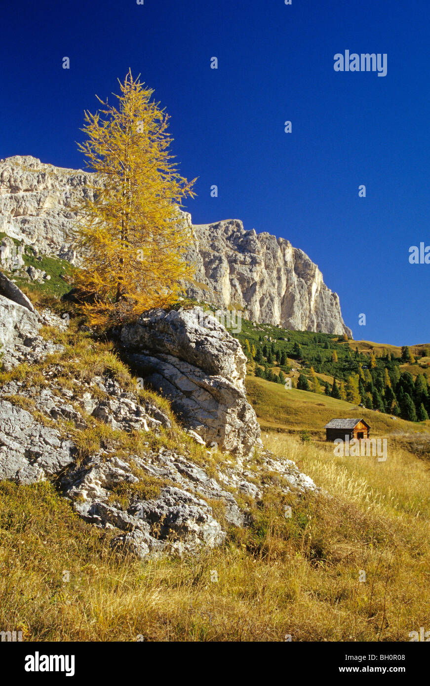 Vista dal Passo di Gardena in Val Badia, Alpi Dolomitiche, Alto Adige, Italia Foto Stock