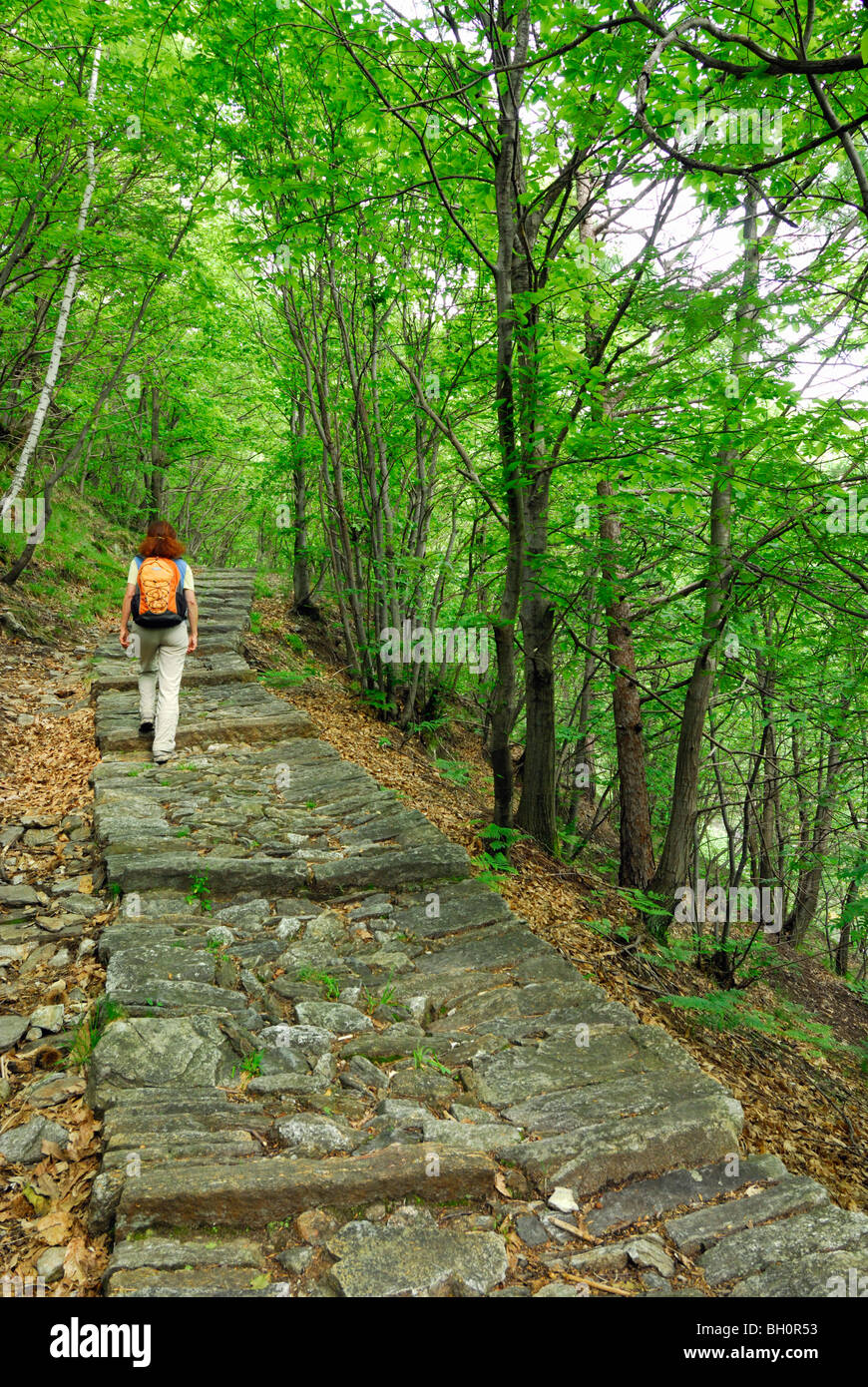 Donna che cammina su un percorso lastricato che conduce attraverso la foresta, Intragna, Centovalli, Lago Maggiore, Lago Maggiore, Ticino, Switze Foto Stock