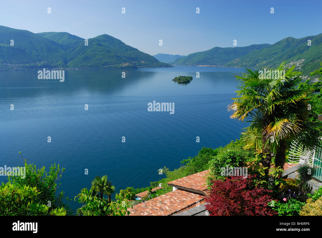 Giardino terrazzato con alberi di palma e tetti sopra il lago Maggiore con isola di Brissago, Isole di Brissago, Ronco sopra Ascona, lago Foto Stock